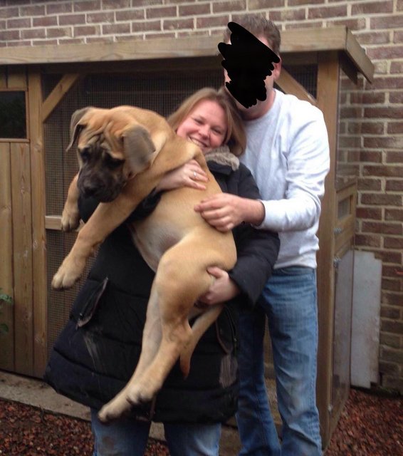 Afbeelding