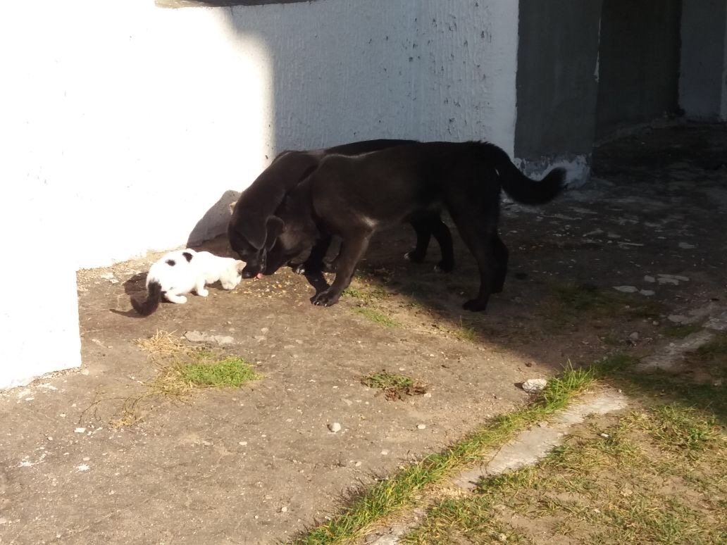 F7A31BED-3A03-4CE5-AF49-39C244D40C47