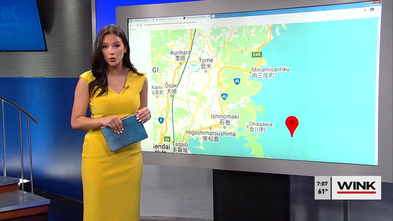 03.20 - 11.00.00 - WINK News at 7 00 a.m. Saturday..ts_snapshot_00.09.18.469