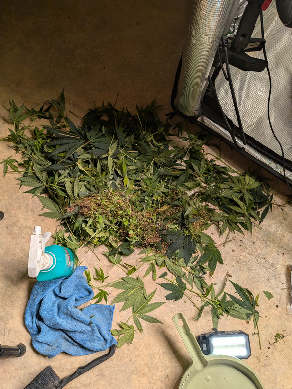 PXL 20260803 191239963