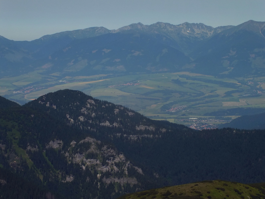 2019_0630DUMBIER0120