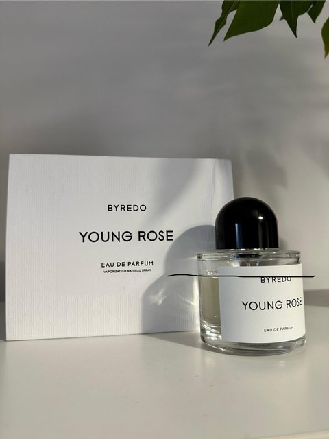 WhatsApp Image 2024-09-19 at 15.00.39_b2d229b6