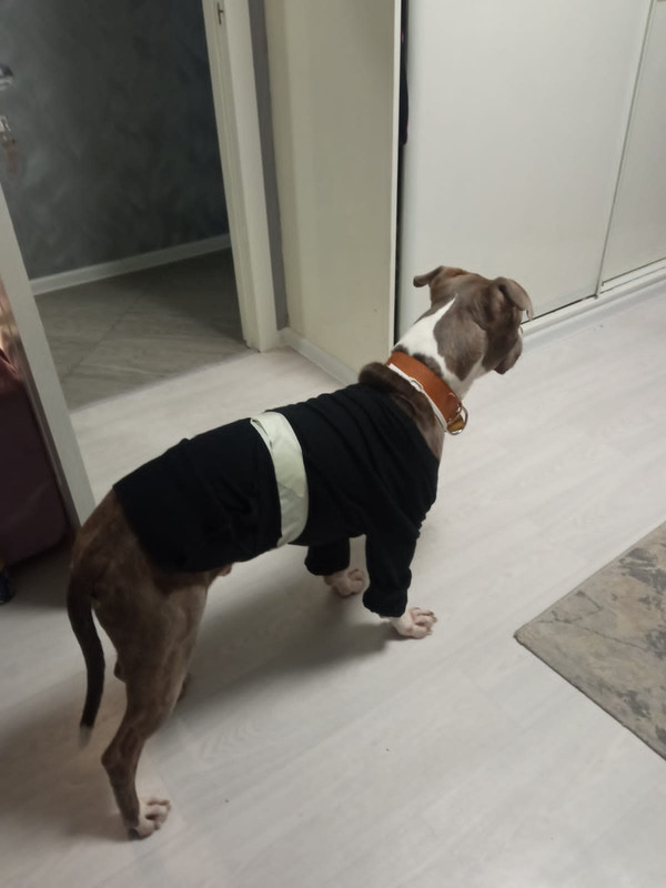 632C67B0-A3A9-43AD-959D-776D9AE7FECD