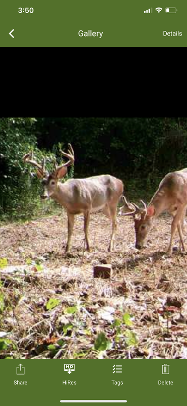 41C79806-751C-4CEA-B52A-5A857283C05D