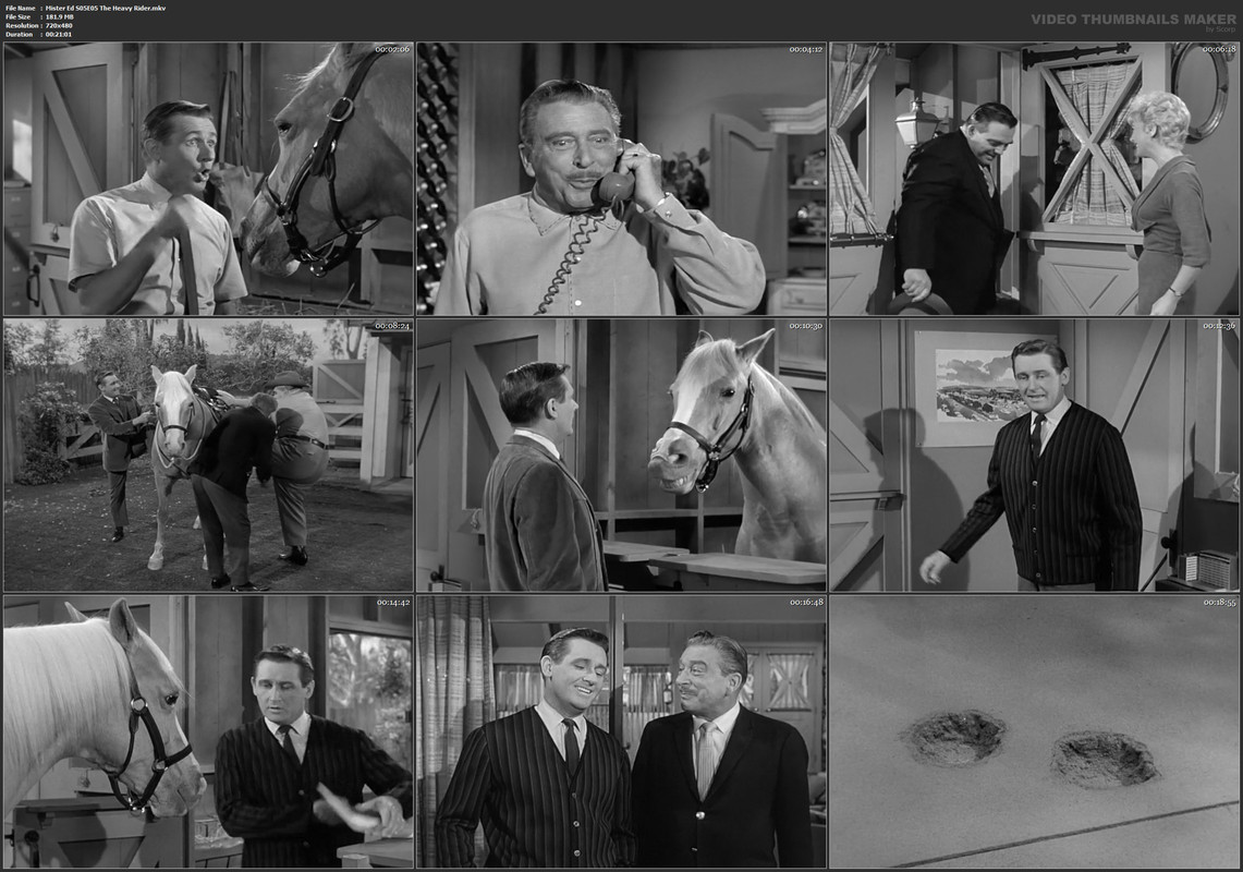 Mister Ed S05E05 The Heavy Rider.mkv