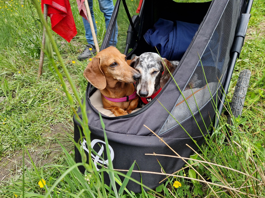 [Image: 20250510-122009-TSDF.jpg]