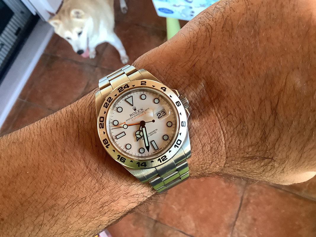 09D1AE53-A93C-4A1C-A05C-72F730A74747