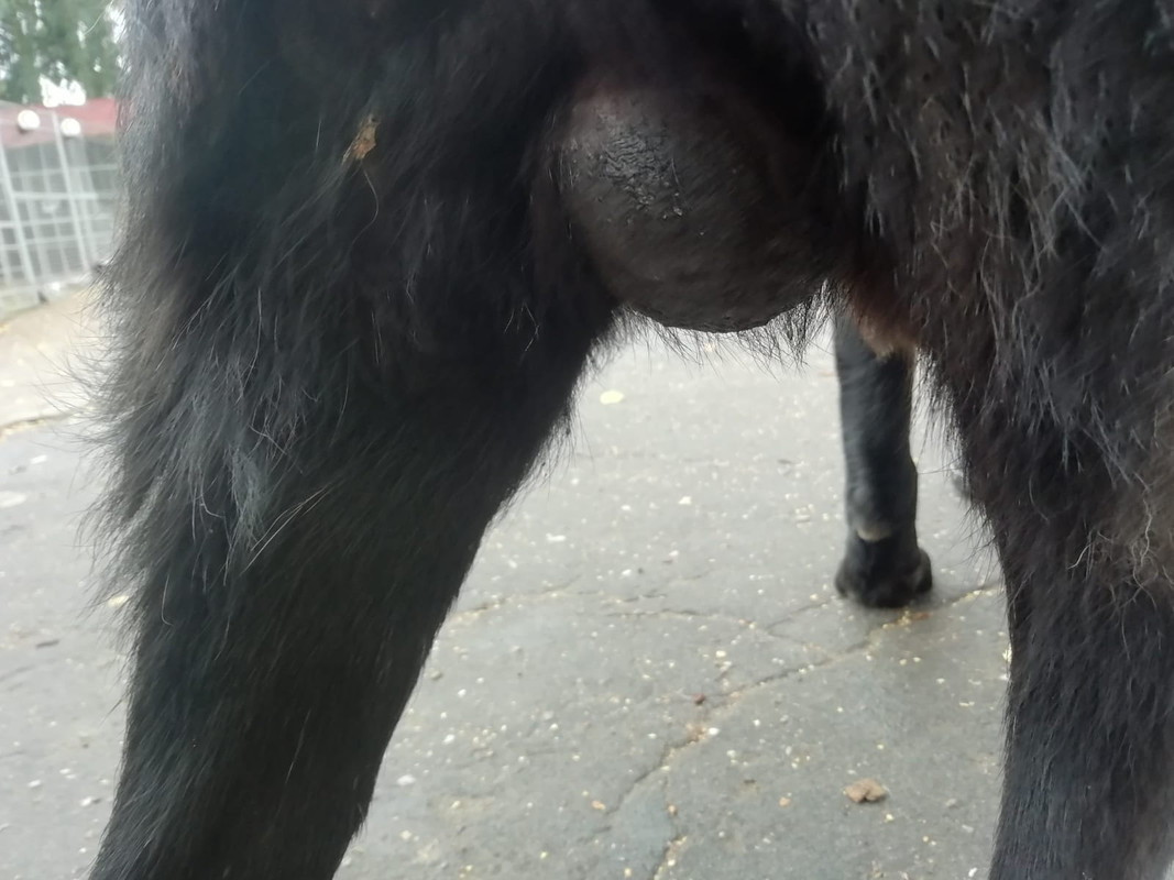 WhatsApp Image 2022-09-19 at 15.10.49 (1)