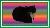 cat-meme-stamp