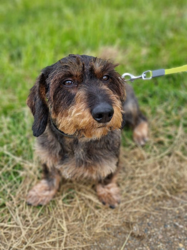 [Image: image000001004.jpg]