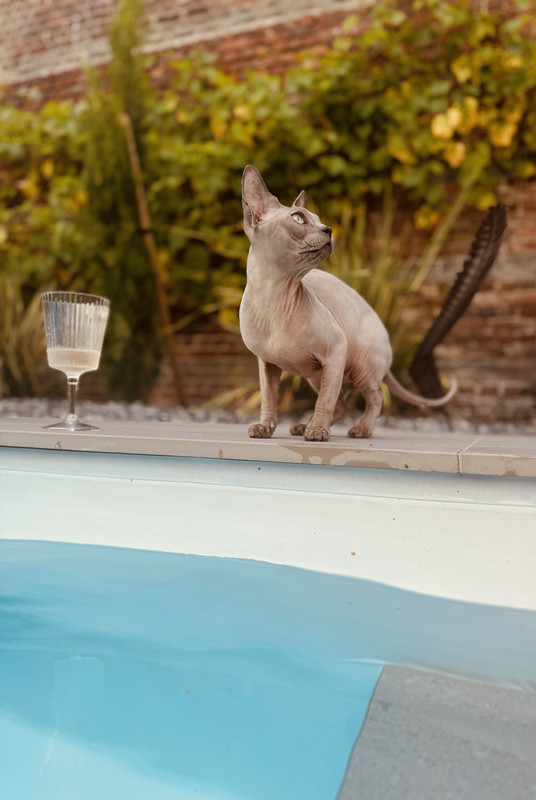 [Image: IMG-4688.jpg]