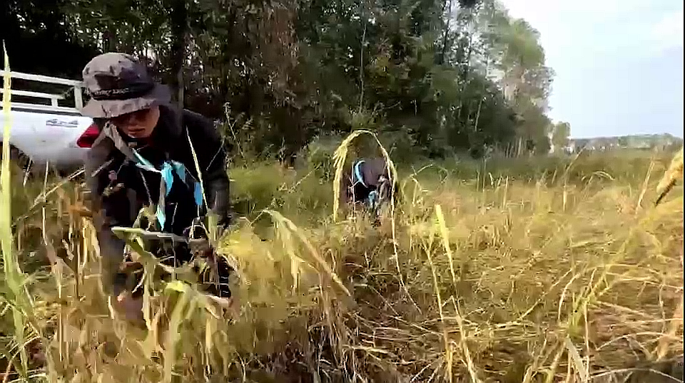 vlcsnap-2025-11-19-21h24m25s149