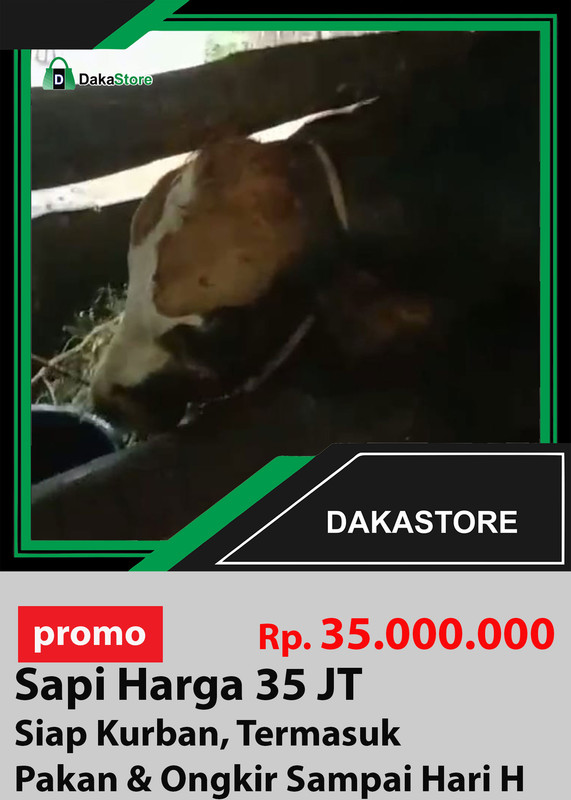 sapi 35 jt