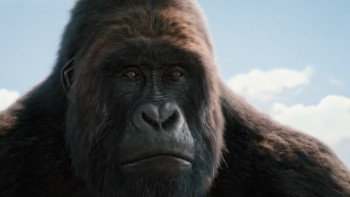 Dolittle 2019 720p WEBRip