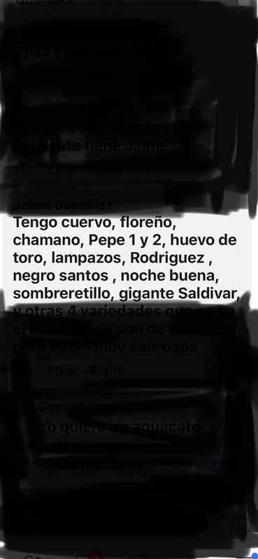 39253563_245805519398592_1546903123866419200_n