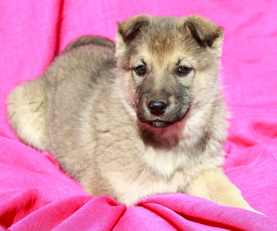 Дженни_04_04_14_1