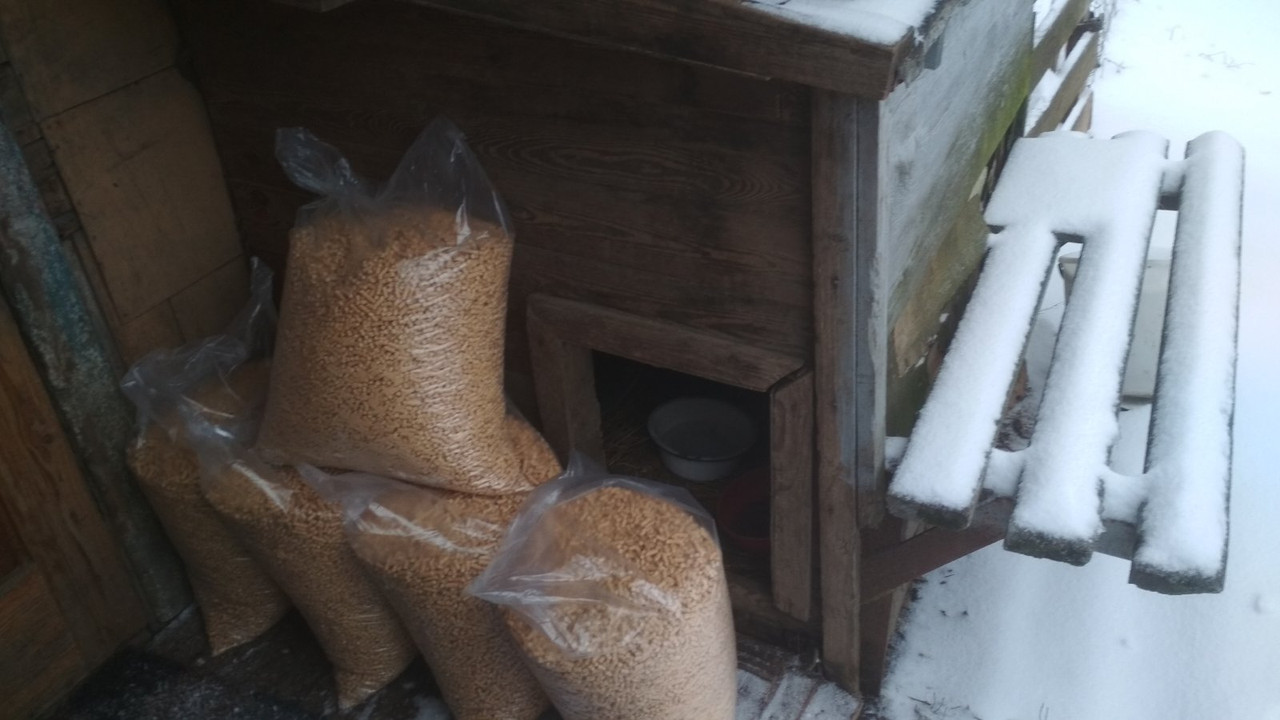 ������ ������ ��� ��������