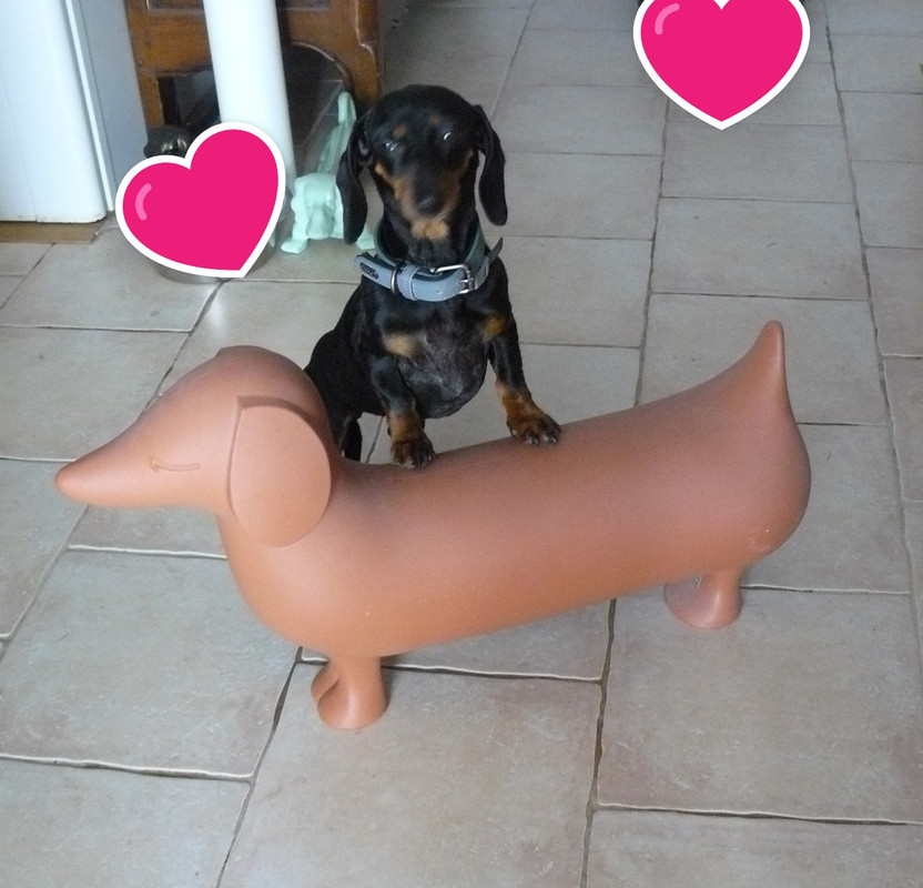 [Image: P1240719.jpg]