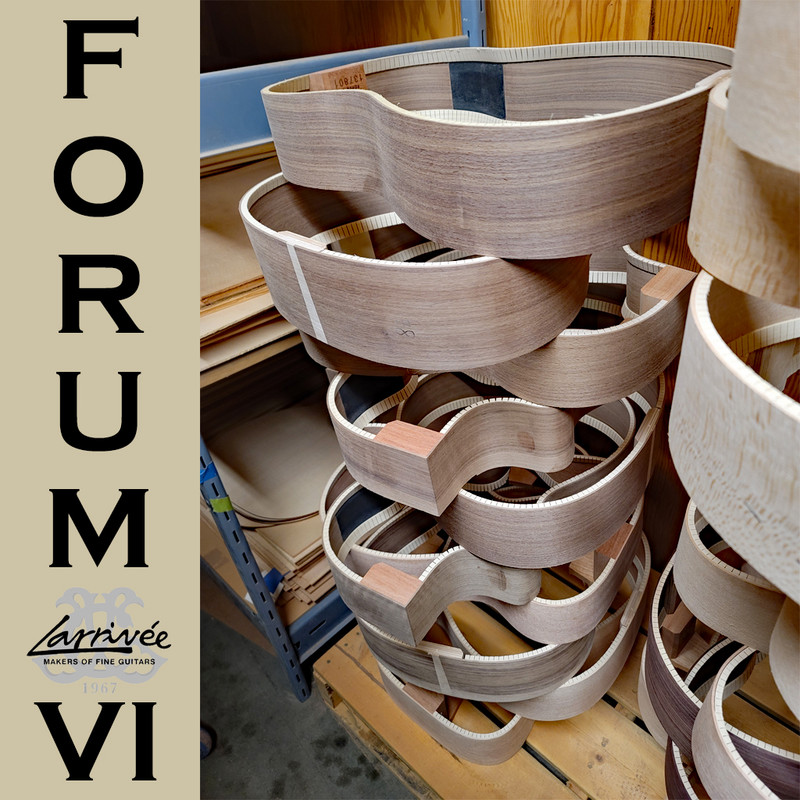 Larrive-Fourm-VI-10.jpg
