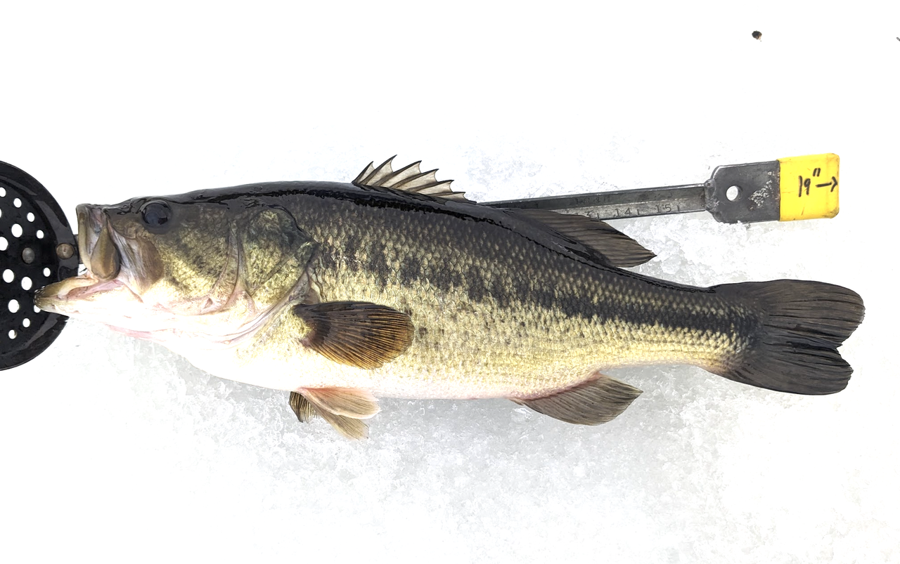 Screenshot 2026 02 14 at 7 14 07 PM