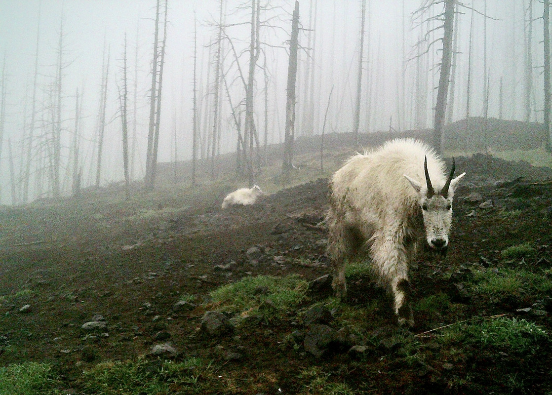 EA663A16-6E4B-4DD5-BDDC-07FE840BC28D