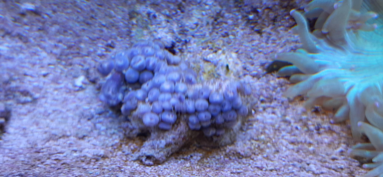 WhatsApp Image 2022-04-23 at 16.58.49 (1)