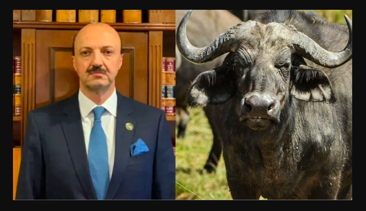 Cazador mexicano es asesinado por búfalo al que le disparó segundos antes