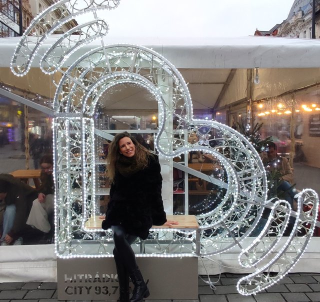 La pinacoteca del Castillo, la Galería Nacional y más Mercados de Navidad - Viena - Bratislava - Praga, Navidad 2024 (128)