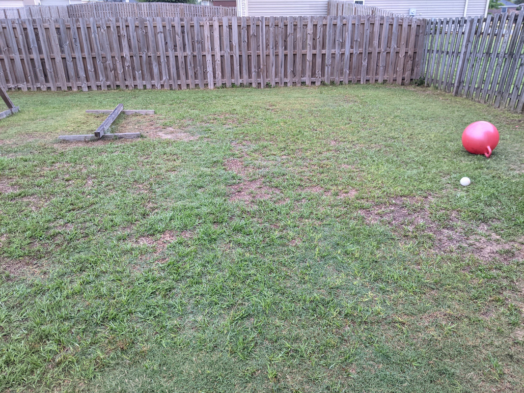 PXL_20210511_111916409