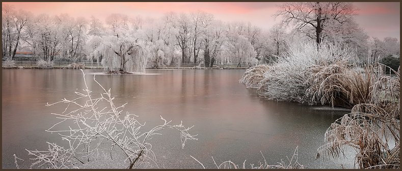 4-jan.jpg
