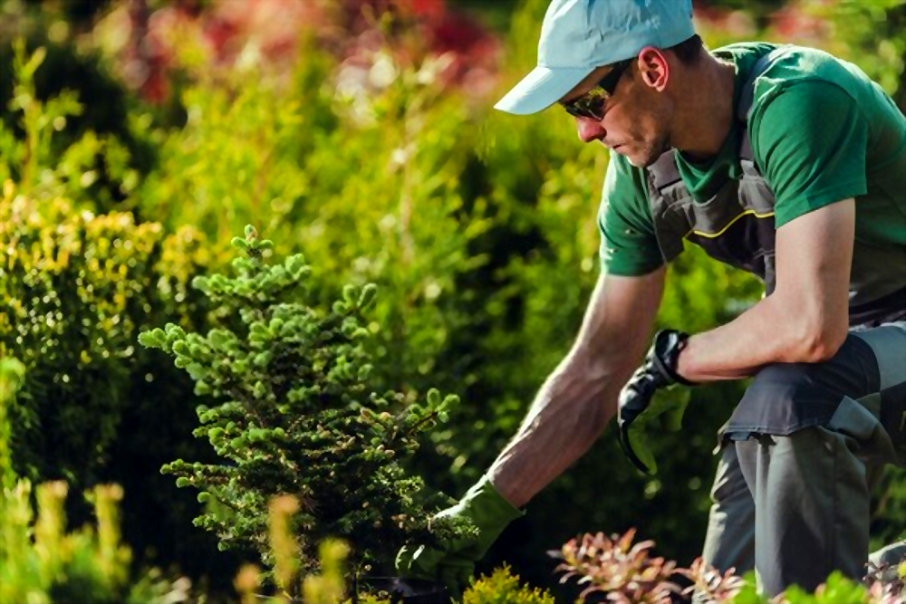 landscaping bentleigh