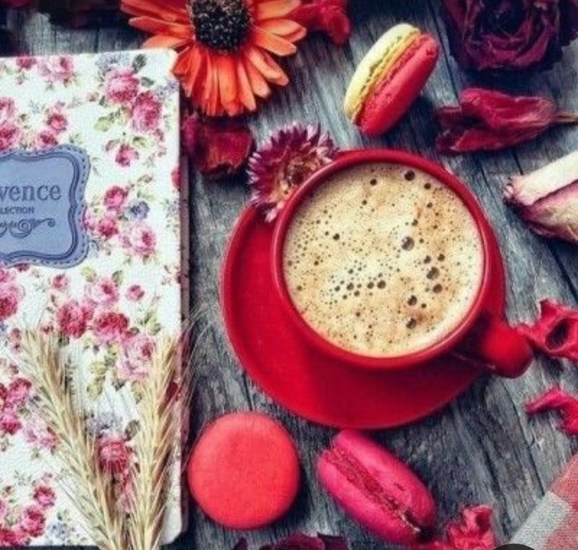 Screenshot_20230219_202502_Pinterest