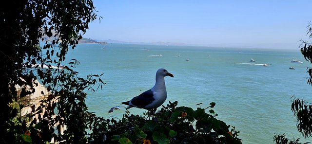 Una cárcel, un cangrejo y un paseo intrépido - Luna de miel por la Costa Oeste de EE.UU 09/06/2025 - 22/06/2025 (10)