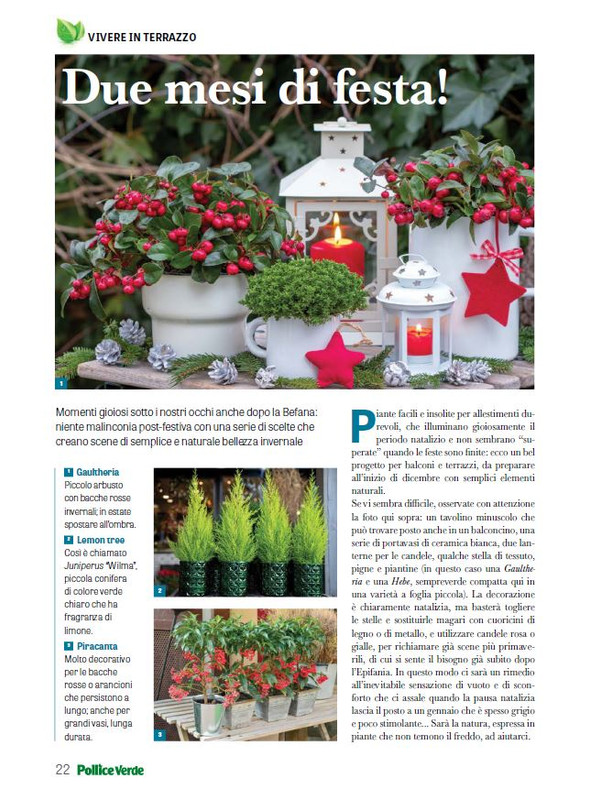 Pol Ver Dic 2024-Gen 2025 (3)