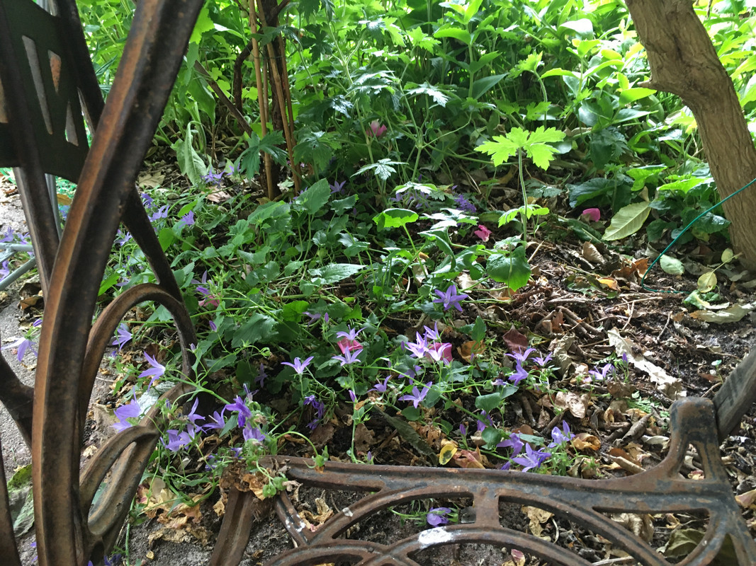 CA83AFFA-3B69-4EFD-B085-7594A031314A