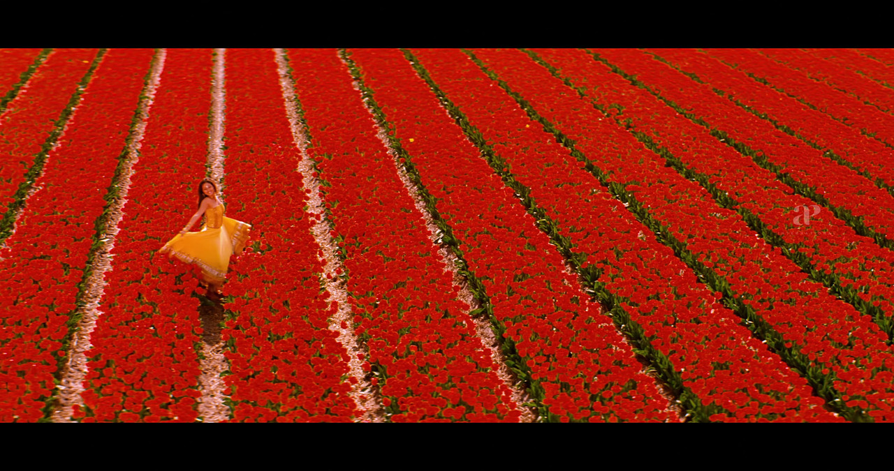 VideoCapture_20241122-200333