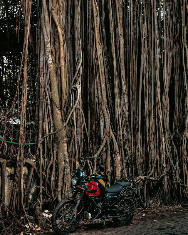 royal enfield Himalayan photo 4