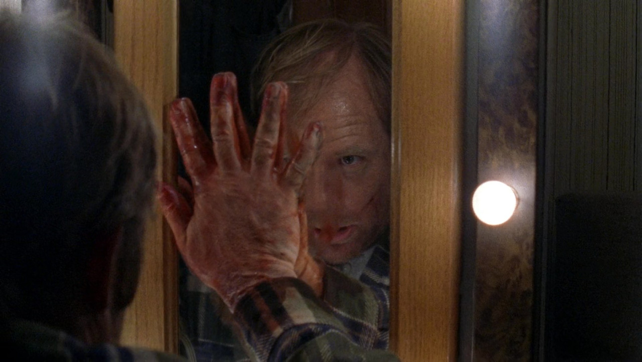 CIELO NOCTURNO mkv snapshot 00 52 41 364