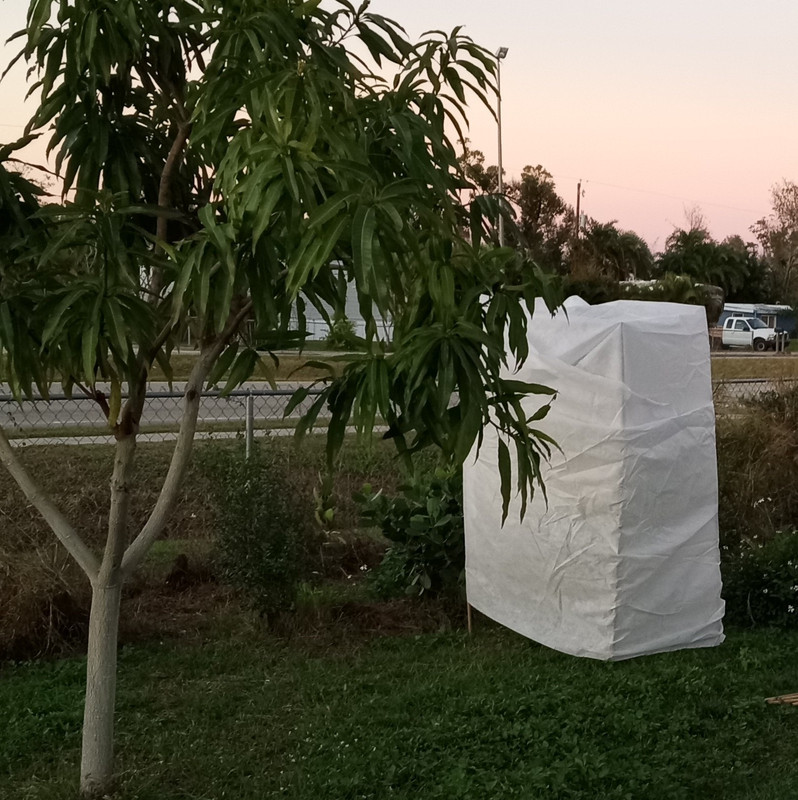 IMG 20240120 180410775 3