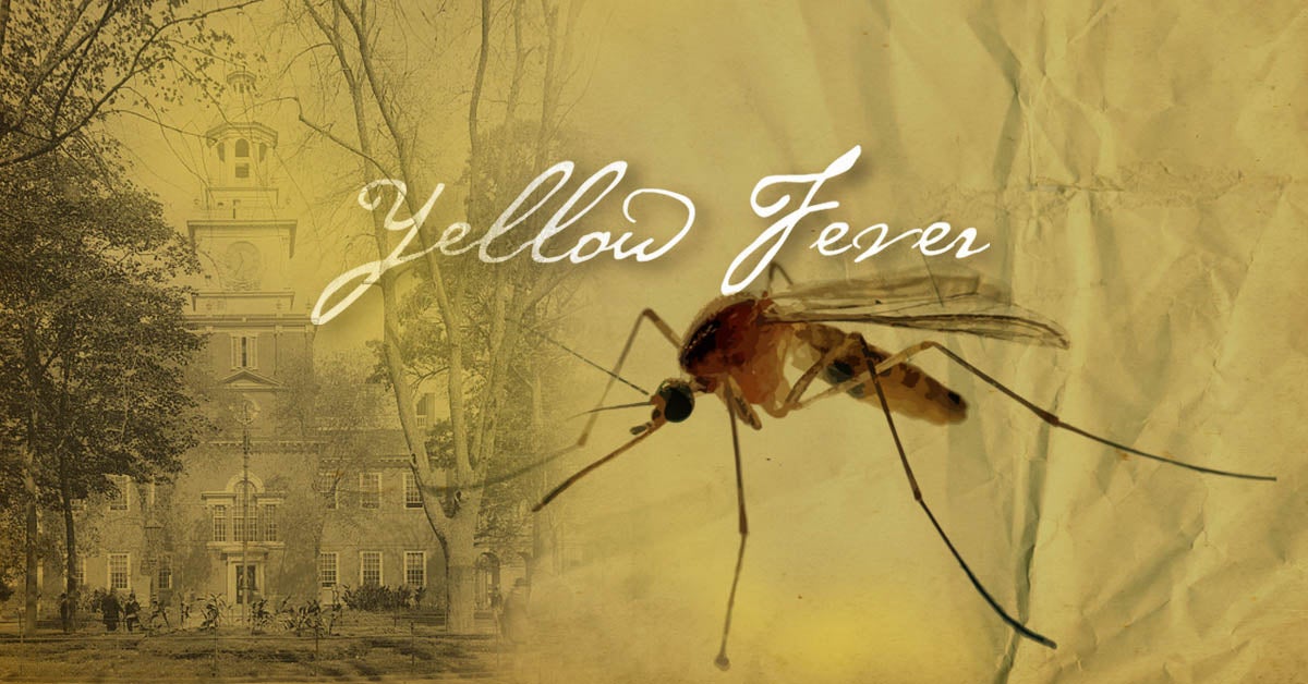 Yellow Fever Absence in India