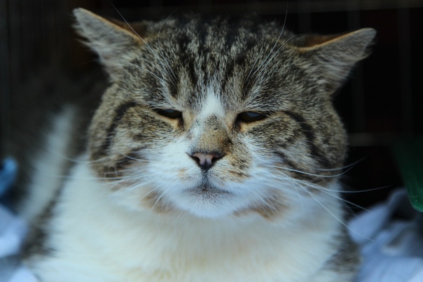 3750D8A3-AA24-4635-8FD5-F2AD3AB17627