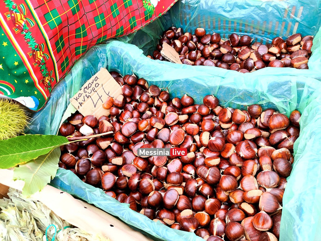 LADASIMG-20251012-113907