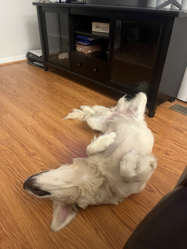 D76204DE-0EC0-4E62-B0DC-B1D64B02FF72