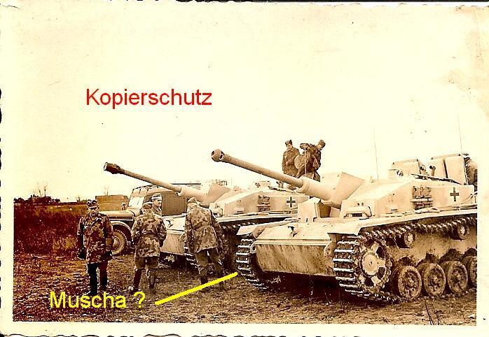 $(KGrHqJHJFEFI,wCid)8BSMMOYPyfg~~60_10