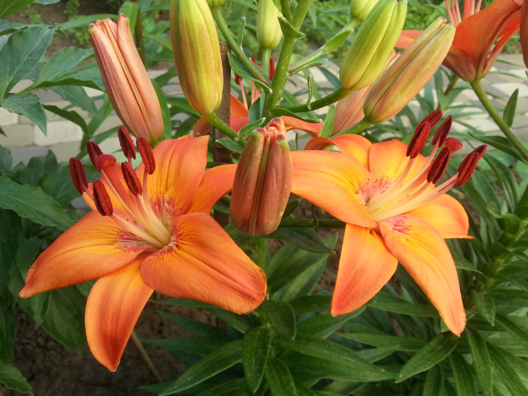 20180614_070901