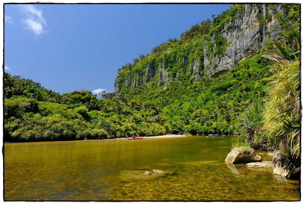 Paparoa NP: Paparoa Track (diciembre 2024) - Escapadas y rutas por la Nueva Zelanda menos conocida (52)