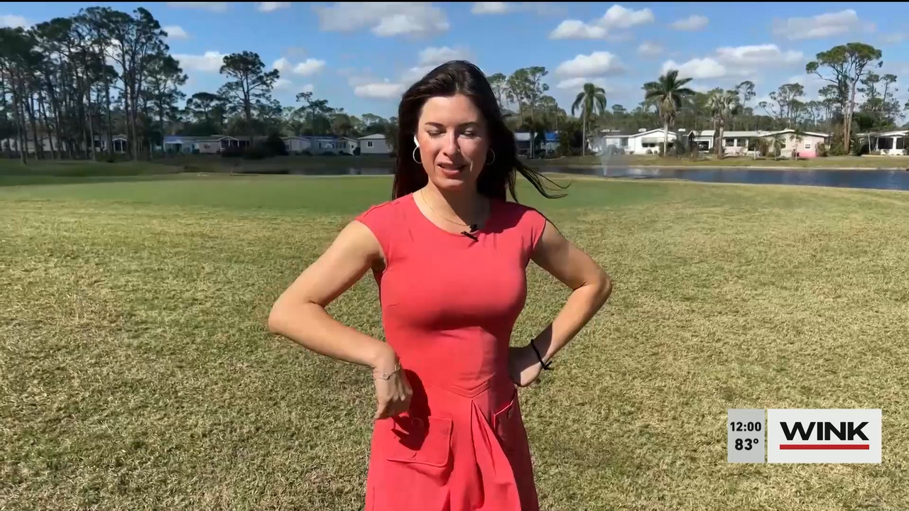 02.02 - 17.00.00 - The WINK Noon News  ᴺᵉʷ. Midday news update..ts_snapshot_06.36.630