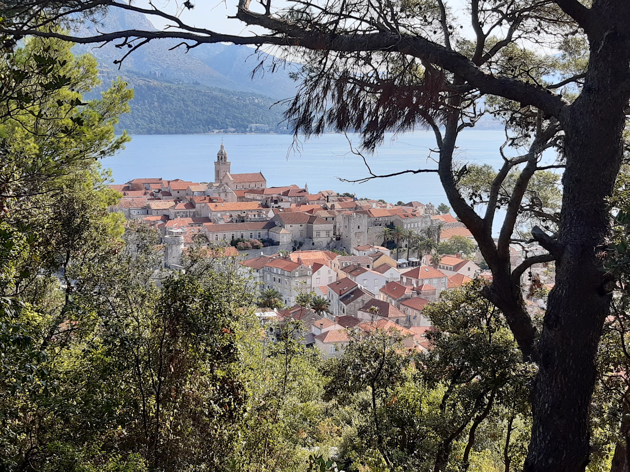 DÍA 14. Korčula - Valencia-Croacia en coche! [2022] (3)