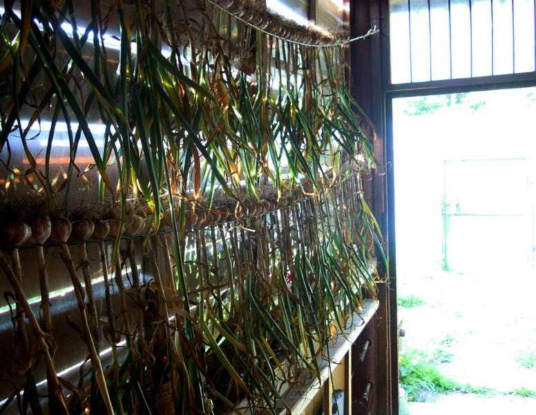 DSCN4516.jpg