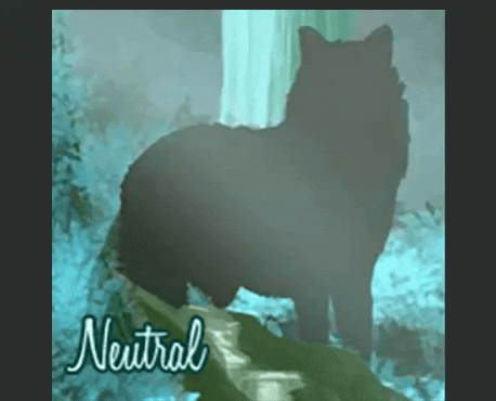 d00cd2ebad77b55338f71fa942f2cd83.gif